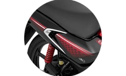 Dual Tone Body Graphics