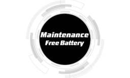 Maintenance Free Battery