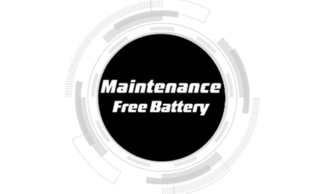 Maintenance Free Battery
