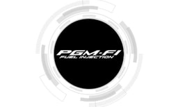 Pgm Fi Fuel Injection