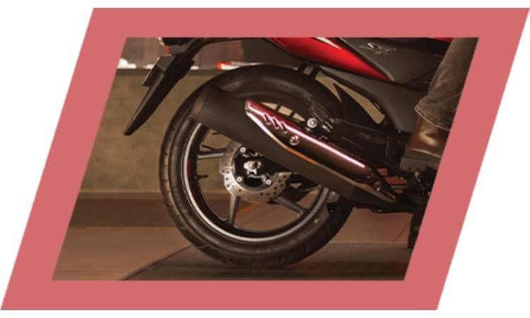 Rear Petal Disc Brake