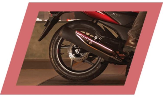 Rear Petal Disc Brake