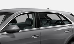 Audi Q8 Doors