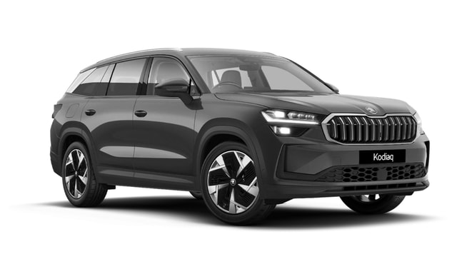 Skoda Kodiaq Gray